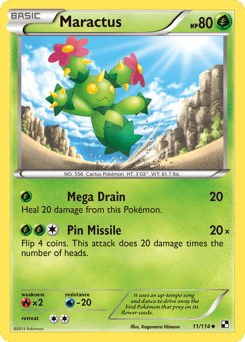 Maractus #11