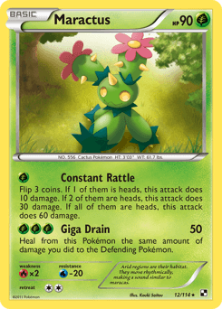 Maractus #12