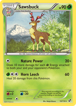 Sawsbuck #14