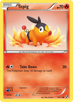 Tepig #16