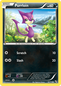 Purrloin #66