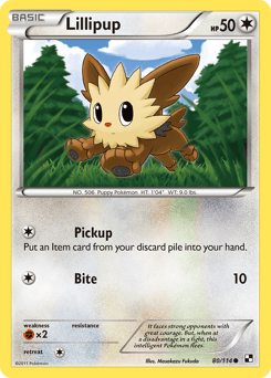 Lillipup #80