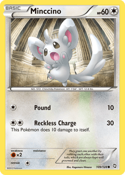 Minccino #109
