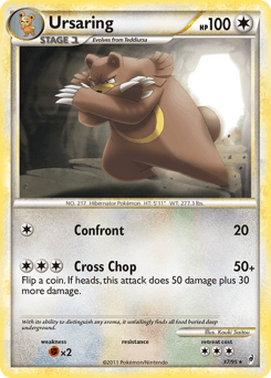 Ursaring #37