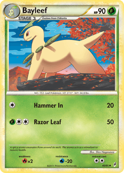 Bayleef #40