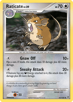 Raticate #61