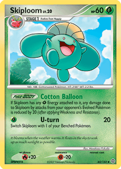 Skiploom #65