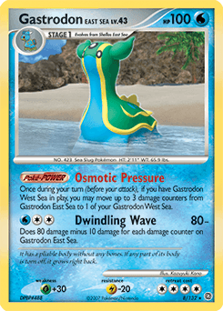 Gastrodon East Sea #8