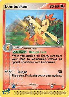 Combusken #28