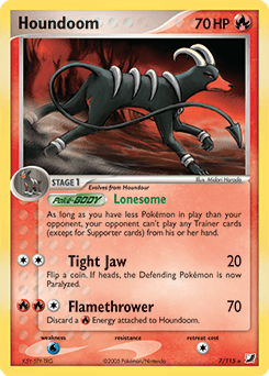 Houndoom #7