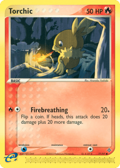Torchic #77