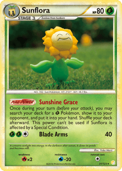 Sunflora #31