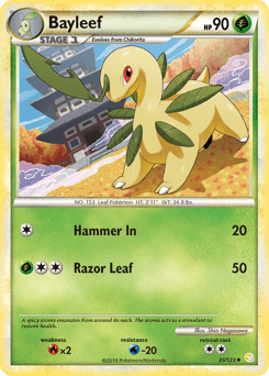 Bayleef #35