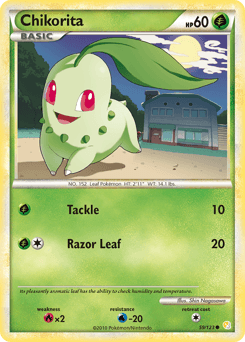 Chikorita #59