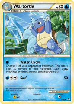 Wartortle #42