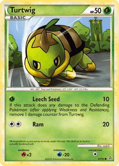 Turtwig #67