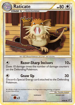 Raticate #34