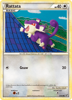 Rattata #64