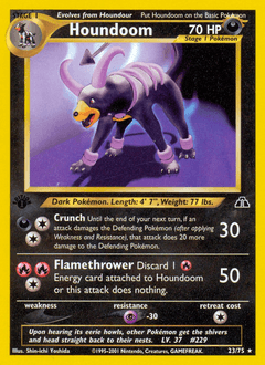 Houndoom #23