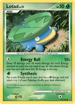 Lotad #81