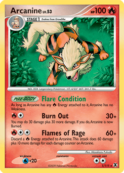 Arcanine #1