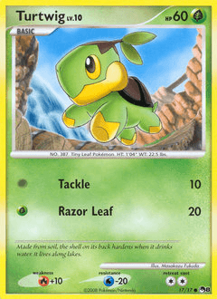 Turtwig #17