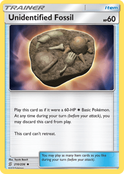 Unidentified Fossil #210