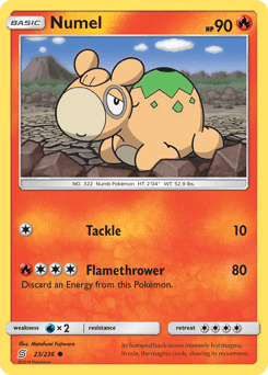 Numel #23