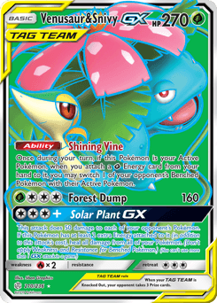 Venusaur & Snivy-GX #210
