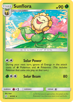 Sunflora #8