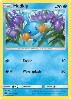 Mudkip #33