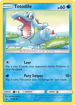 Totodile #22