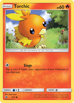 Torchic #4