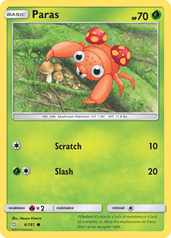Paras #6