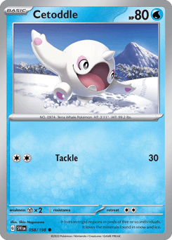 Cetoddle #58