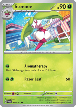Steenee #17