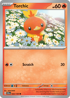 Torchic #22