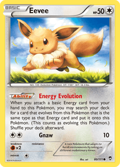 Eevee #80