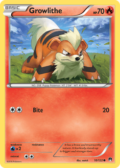 Growlithe #10